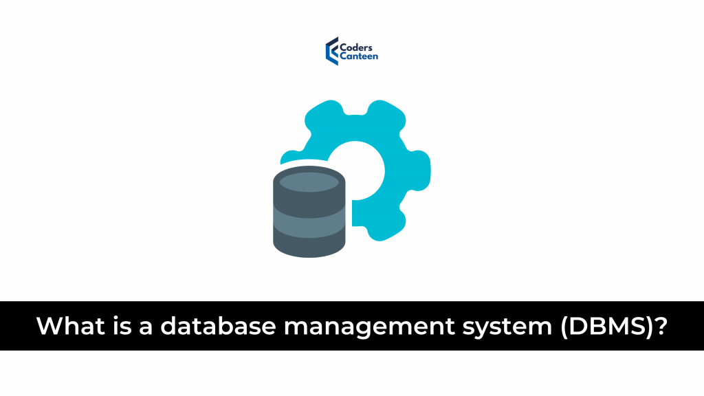What is a database management system